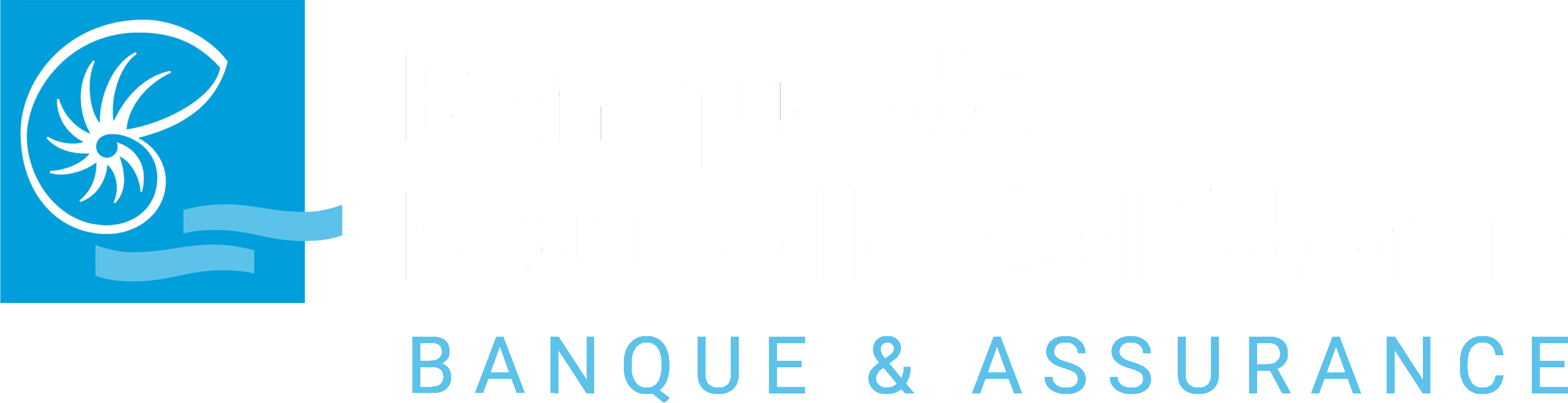 BNC